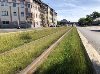 Straße mit Tramschienen